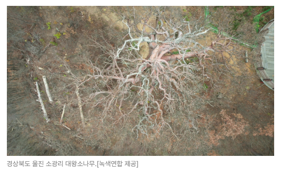 스크린샷 2026-05-19 144905.png