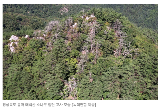 스크린샷 2026-05-19 144912.png