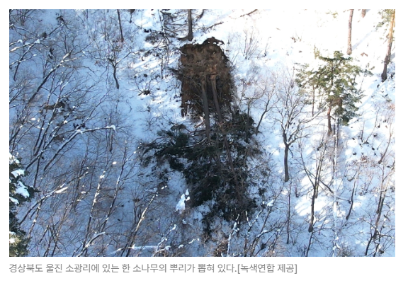 스크린샷 2026-05-19 144918.png