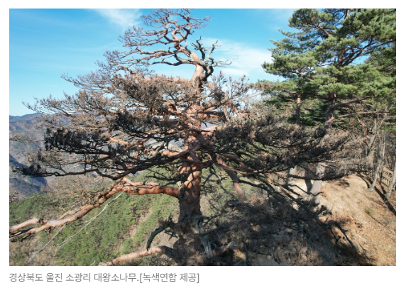 스크린샷 2026-05-19 144925.png