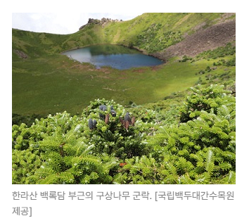 스크린샷 2026-05-19 144932.png
