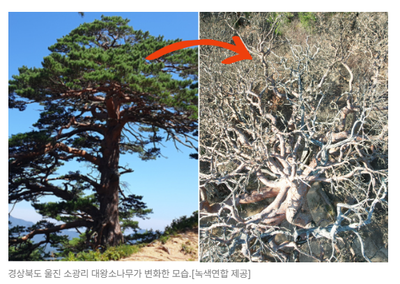 스크린샷 2026-05-19 144943.png