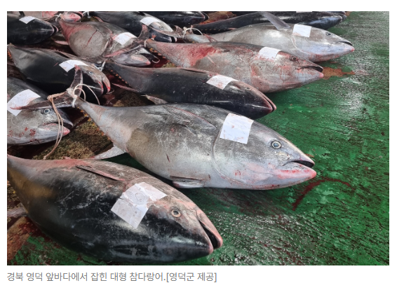 스크린샷 2026-05-19 150052.png