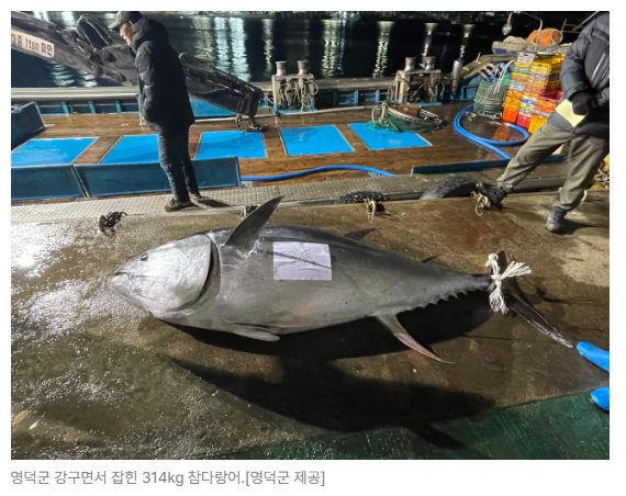 스크린샷 2026-05-19 150110.png