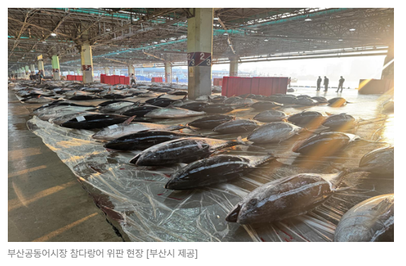 스크린샷 2026-05-19 150115.png
