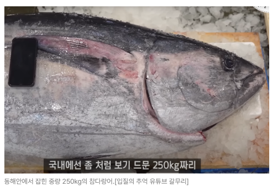 스크린샷 2026-05-19 150122.png