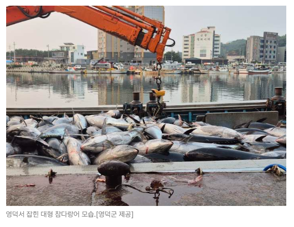 스크린샷 2026-05-19 150128.png