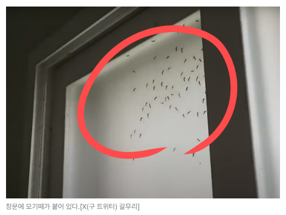 스크린샷 2026-05-19 153042.png