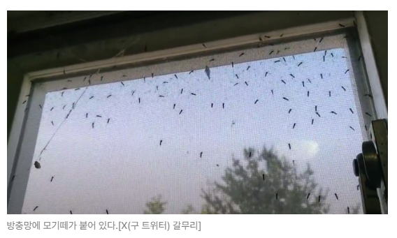 스크린샷 2026-05-19 153048.png