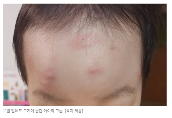 스크린샷 2026-05-19 153054.png