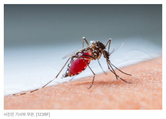 스크린샷 2026-05-19 153100.png