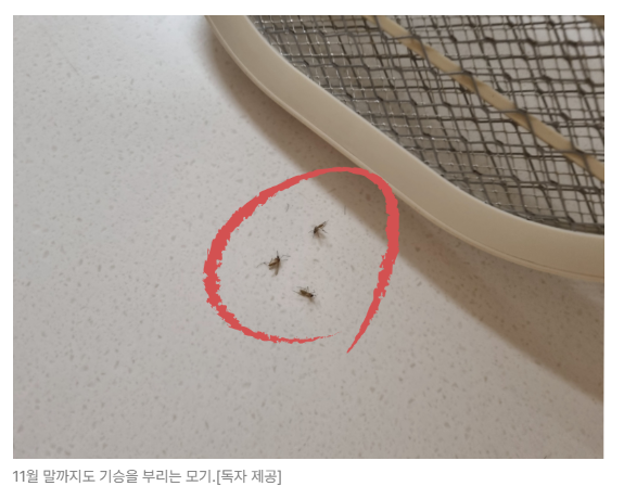스크린샷 2026-05-19 153105.png