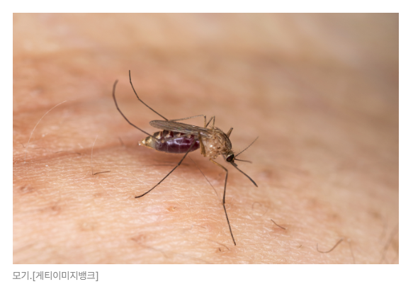스크린샷 2026-05-19 153110.png