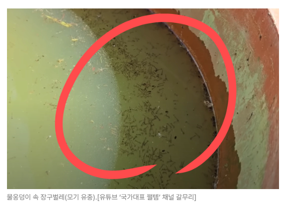 스크린샷 2026-05-19 153114.png