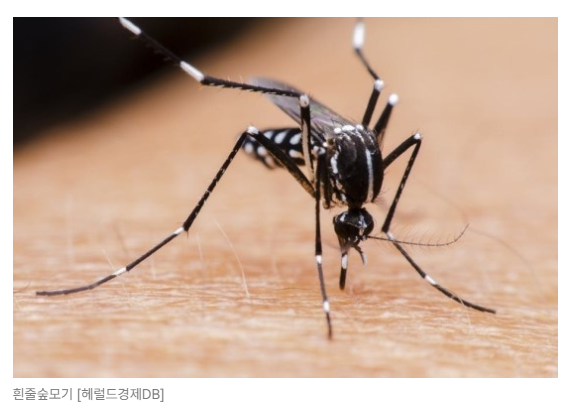 스크린샷 2026-05-19 153119.png