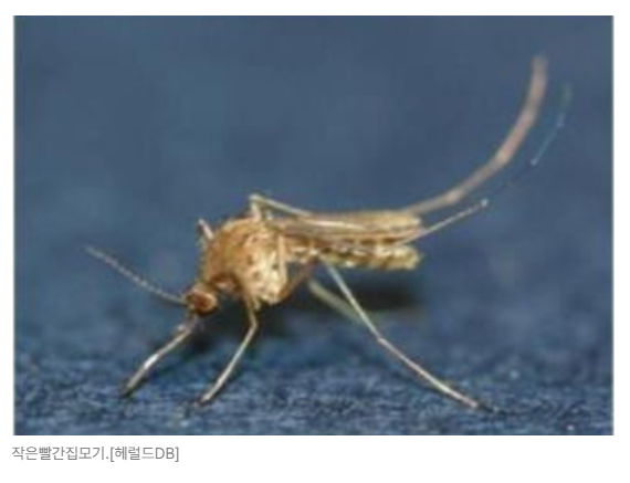 스크린샷 2026-05-19 153122.png