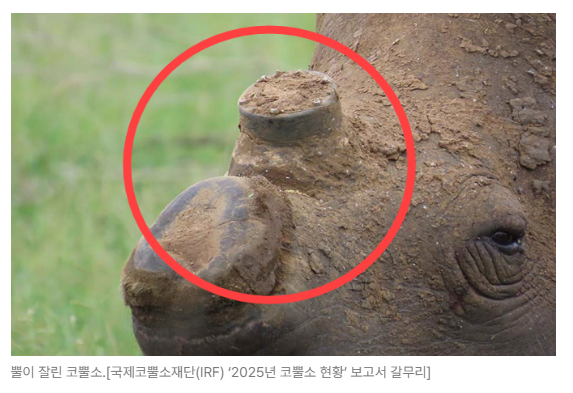 스크린샷 2026-05-26 101717.png