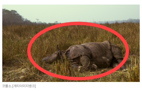 스크린샷 2026-05-26 101737.png