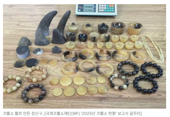 스크린샷 2026-05-26 101748.png