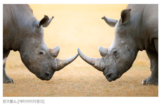 스크린샷 2026-05-26 101754.png
