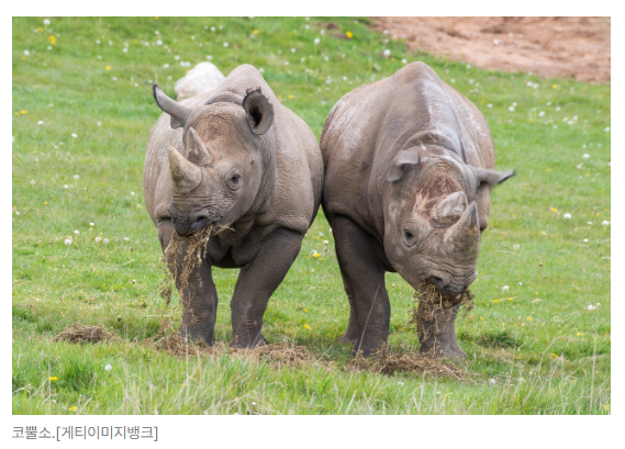 스크린샷 2026-05-26 101801.png