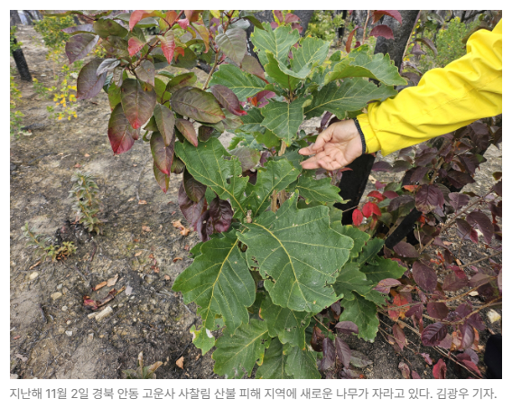 스크린샷 2026-05-26 103521.png
