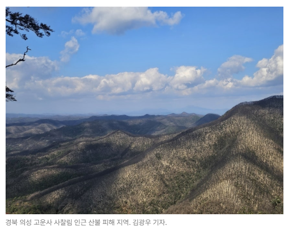스크린샷 2026-05-26 103529.png