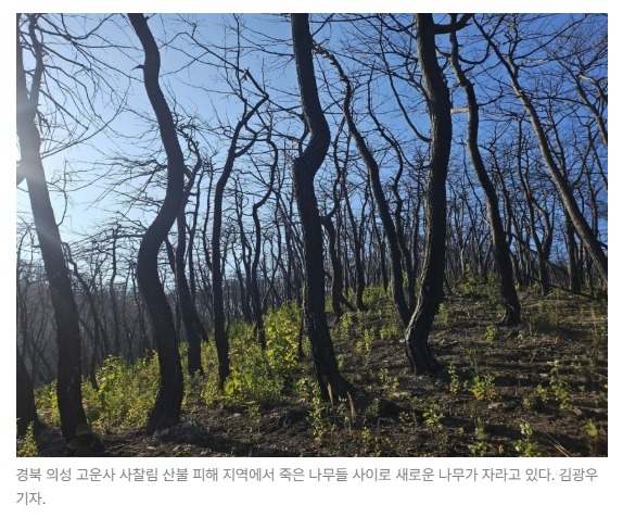 스크린샷 2026-05-26 103548.png
