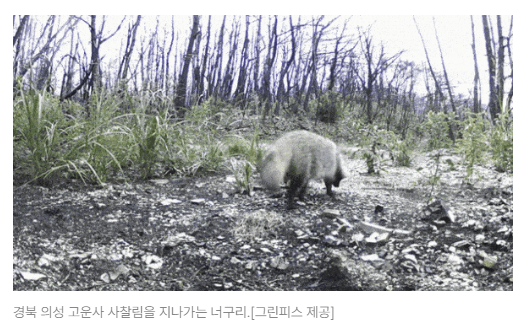스크린샷 2026-05-26 103559.png