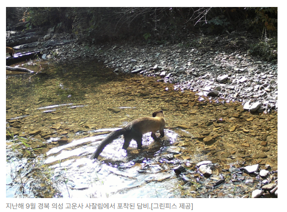스크린샷 2026-05-26 103605.png