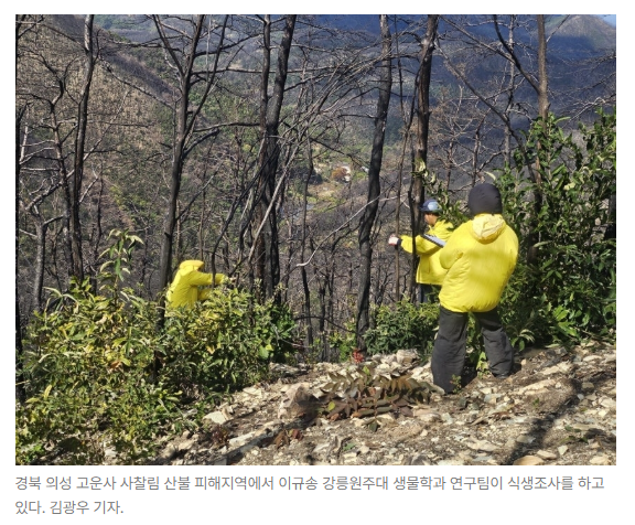 스크린샷 2026-05-26 103610.png