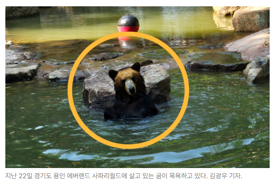 스크린샷 2026-05-27 092112.png