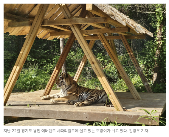 스크린샷 2026-05-27 092119.png