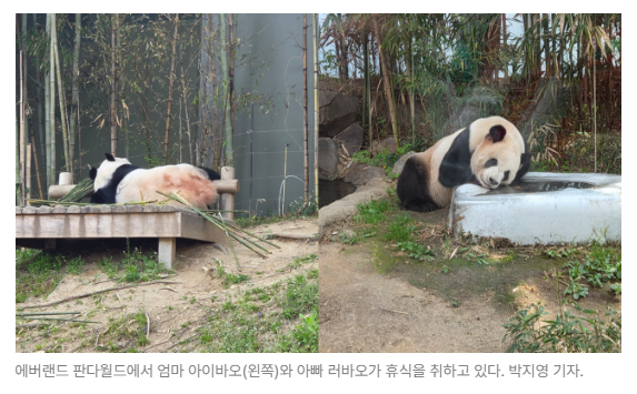 스크린샷 2026-05-27 092135.png
