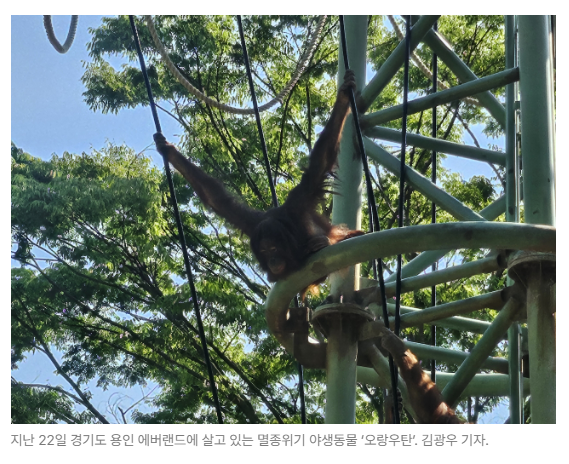 스크린샷 2026-05-27 092236.png