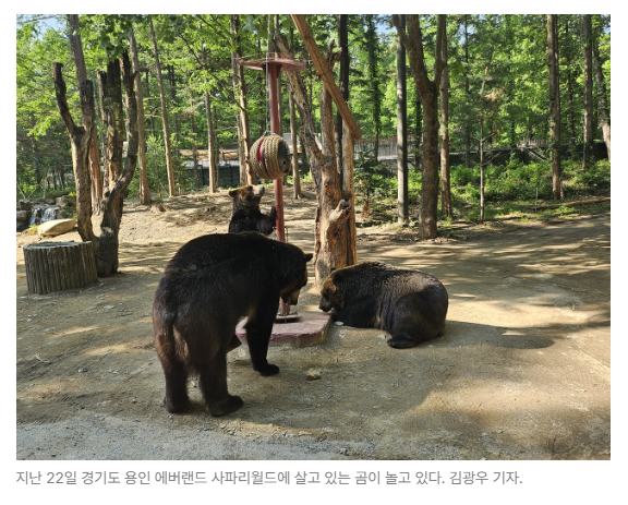 스크린샷 2026-05-27 092307.png