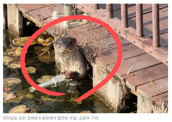 스크린샷 2026-05-29 090355.png