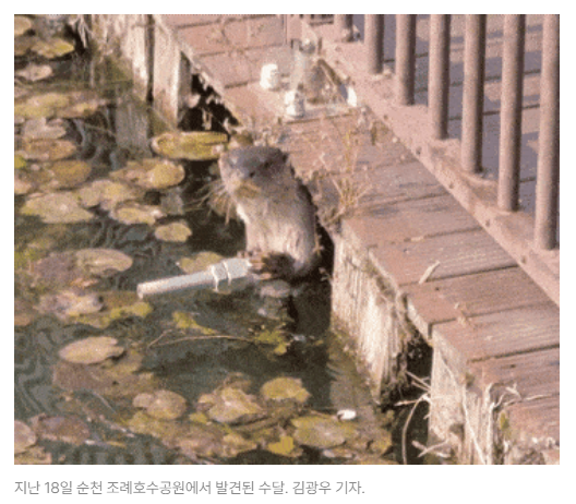 스크린샷 2026-05-29 090405.png