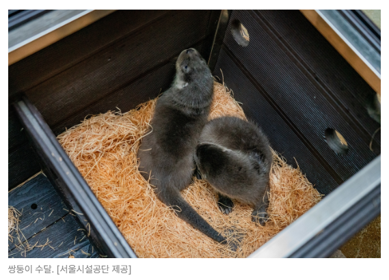 스크린샷 2026-05-29 090422.png