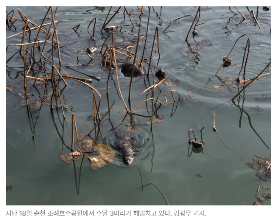 스크린샷 2026-05-29 090432.png