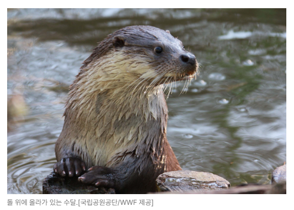 스크린샷 2026-05-29 090443.png