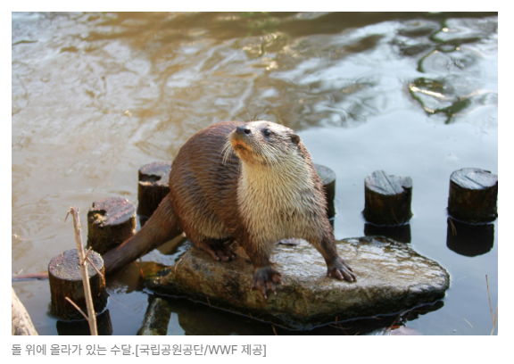 스크린샷 2026-05-29 090452.png