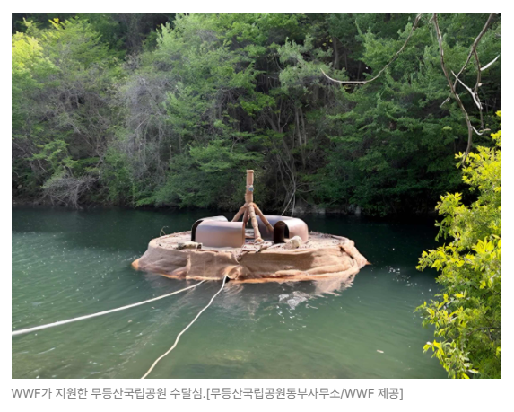 스크린샷 2026-05-29 090459.png