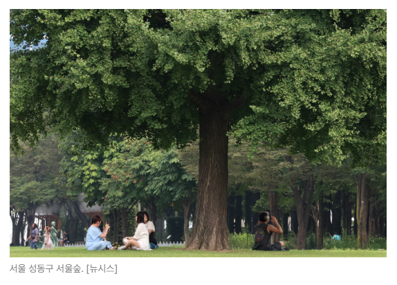 스크린샷 2026-06-01 090554.png