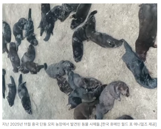 스크린샷 2026-06-10 090525.png