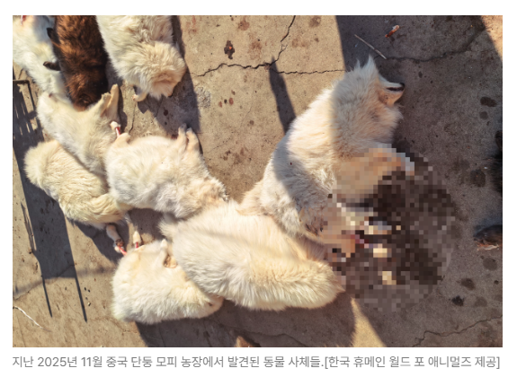 스크린샷 2026-06-10 090532.png