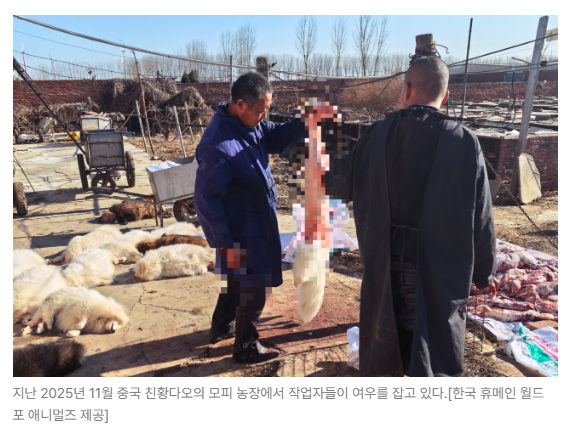 스크린샷 2026-06-10 090539.png
