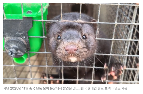 스크린샷 2026-06-10 090545.png