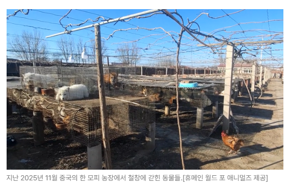 스크린샷 2026-06-10 090555.png