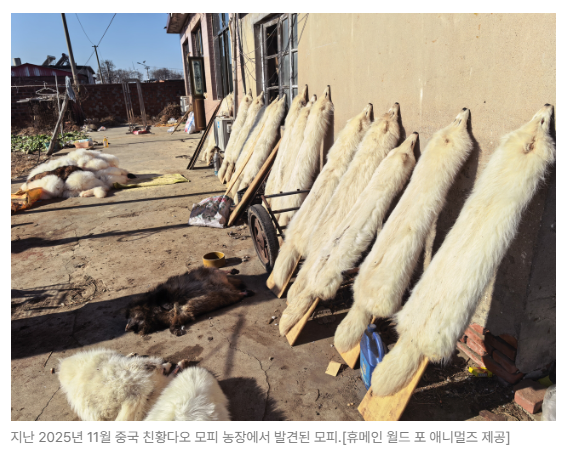 스크린샷 2026-06-10 090603.png